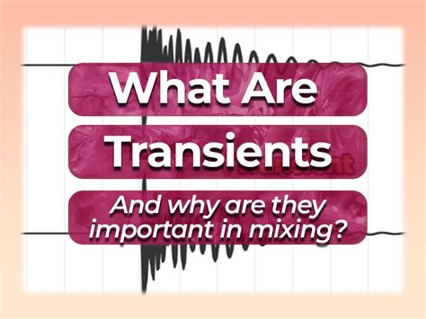 What Are Transients in Music: An Elusive Journey Through the Chaotic Emotions